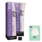 Postquam Professional Premium Color P0 White 60ml