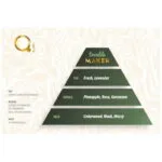 Qure Dry Oils The Trouble Maker 100ml - (ξηρό έλαιο για σώμα, πρόσωπο και μαλλιά) - Image 2