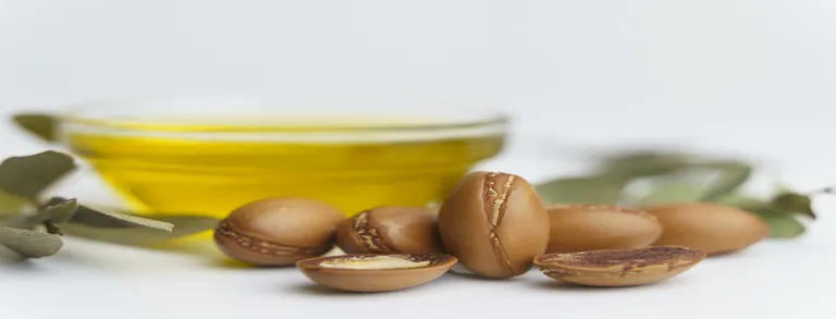 Argan seeds and oil isolated on a white background. Argan oil nuts with plant. Cosmetics and natural oils background argan seeds oil isolated white background argan oil nuts with plant cosmetics natural