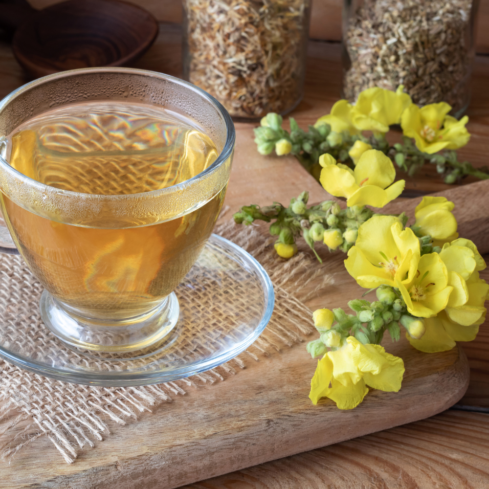 Mullein Extracts