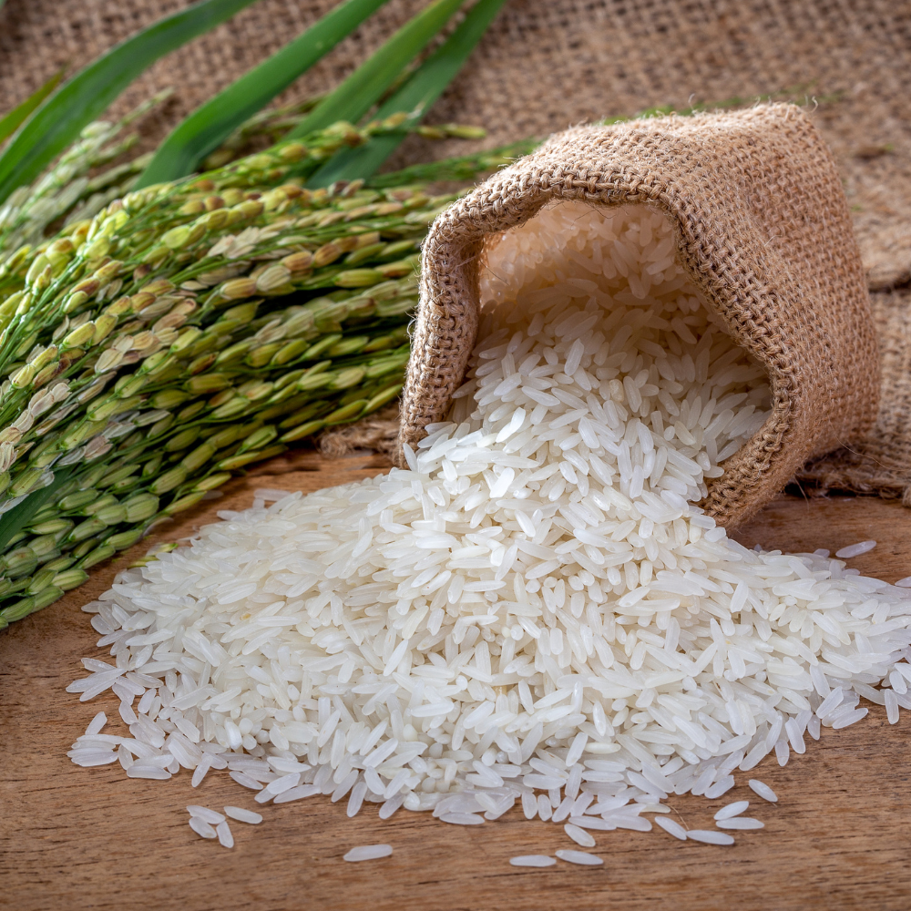 Rice Extracts