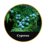 Tonic Horse Chestnut Beeswax Ointment 50ml by MrQ - Τονωτική Κηραλοιφή με Ιπποκαστανιά - Image 15