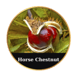 Tonic Horse Chestnut Beeswax Ointment 50ml by MrQ - Τονωτική Κηραλοιφή με Ιπποκαστανιά - Image 20