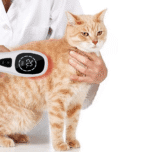 Therapeutic Laser HD cureS - Επαναστατικό Θεραπευτικό Λέιζερ Οικιακής Χρήσης από την Qure - 5 Σημαντικά Οφέλη Ανακούφισης Πόνου - Image 4