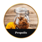 Tonic Horse Chestnut Beeswax Ointment 50ml by MrQ - Τονωτική Κηραλοιφή με Ιπποκαστανιά - Image 25