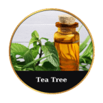 Hypericum Beeswax Ointment 50ml by Natural Wellness - Natural Healing Balm with St. John's Wort  for Skin Repair and Care – Αναπλαστική & Αντιφλεγμονώδης Κηραλοιφή με Σπαθόλαδο - Image 7