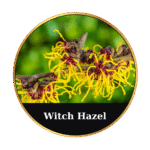 Tonic Horse Chestnut Beeswax Ointment 50ml by MrQ - Τονωτική Κηραλοιφή με Ιπποκαστανιά - Image 8