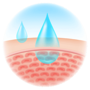 Hyaluronic Acid Drop Penetrates the Skin barrier