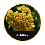 Tonic Horse Chestnut Beeswax Ointment 50ml by MrQ - Τονωτική Κηραλοιφή με Ιπποκαστανιά - Image 9