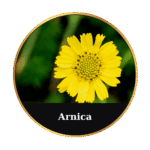 Tonic Horse Chestnut Beeswax Ointment 50ml by MrQ - Τονωτική Κηραλοιφή με Ιπποκαστανιά - Image 11