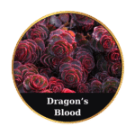 Tonic Horse Chestnut Beeswax Ointment 50ml by MrQ - Τονωτική Κηραλοιφή με Ιπποκαστανιά - Image 16