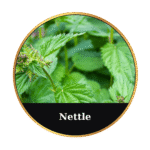 Tonic Horse Chestnut Beeswax Ointment 50ml by MrQ - Τονωτική Κηραλοιφή με Ιπποκαστανιά - Image 24