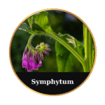 Tonic Horse Chestnut Beeswax Ointment 50ml by MrQ - Τονωτική Κηραλοιφή με Ιπποκαστανιά - Image 26