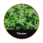 Tonic Horse Chestnut Beeswax Ointment 50ml by MrQ - Τονωτική Κηραλοιφή με Ιπποκαστανιά - Image 27