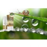 Qure Snail Serum Intense Repair 50ml - Image 2